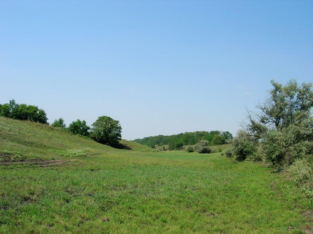 Братсько-Семенівка з panoramio.com - Братско-Семеновка