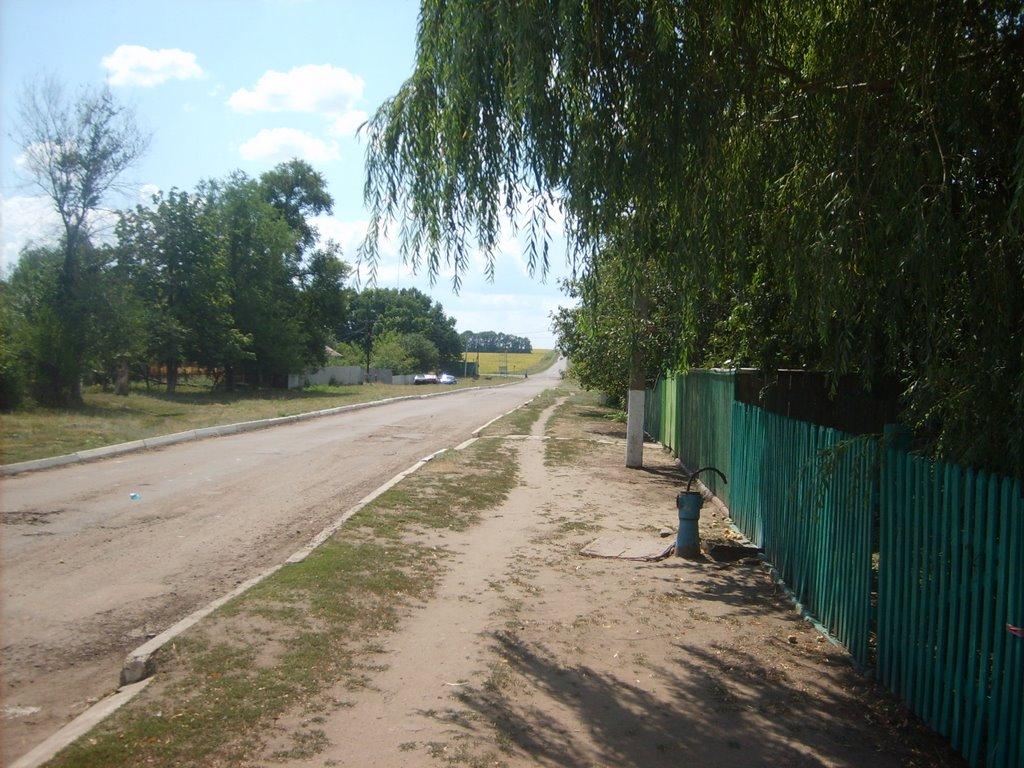 Лісна Поляна з panoramio.com - Лесная Поляна