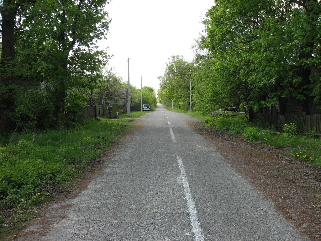 Полідарівка з panoramio.com - Полідарівка