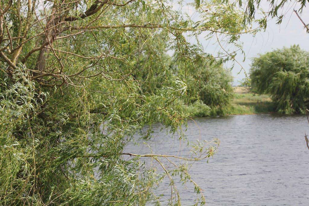 Зарічне з panoramio.com