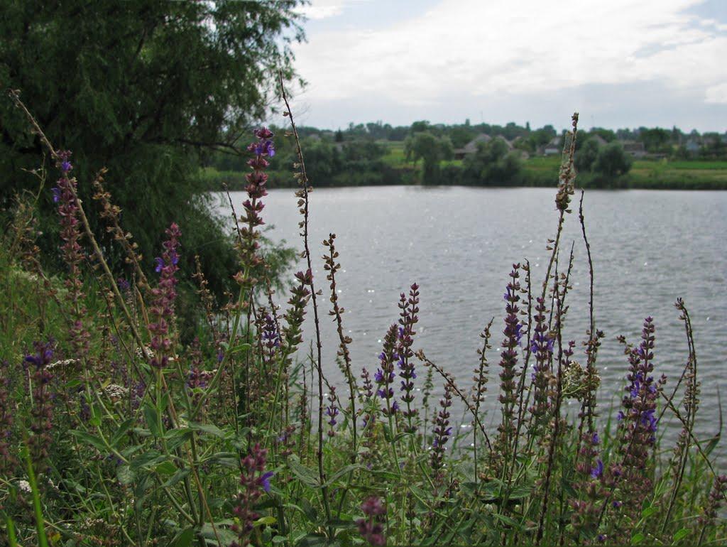 Кринички з panoramio.com - Кринички