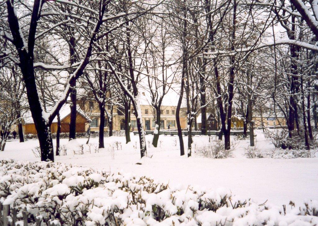 Любомль з panoramio.com - Lyuboml