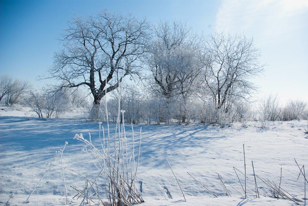 Верхнячка з panoramio.com - Верхнячка