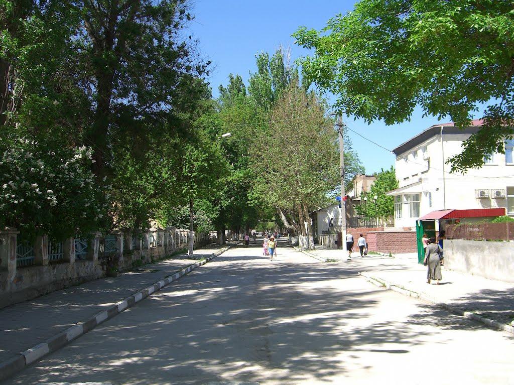 Білогірськ з panoramio.com - Білогірськ
