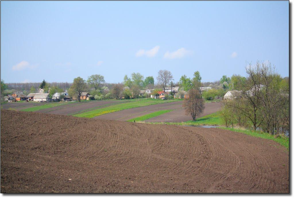 Семенівка з panoramio.com - Семенівка