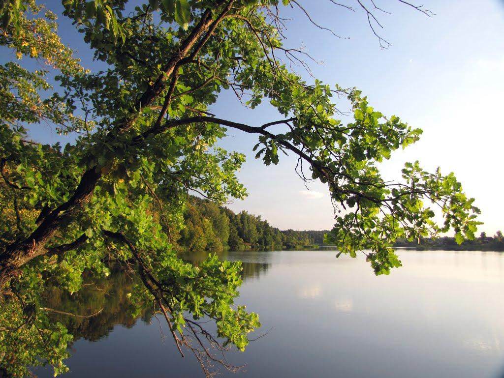 Буки з panoramio.com - Buky