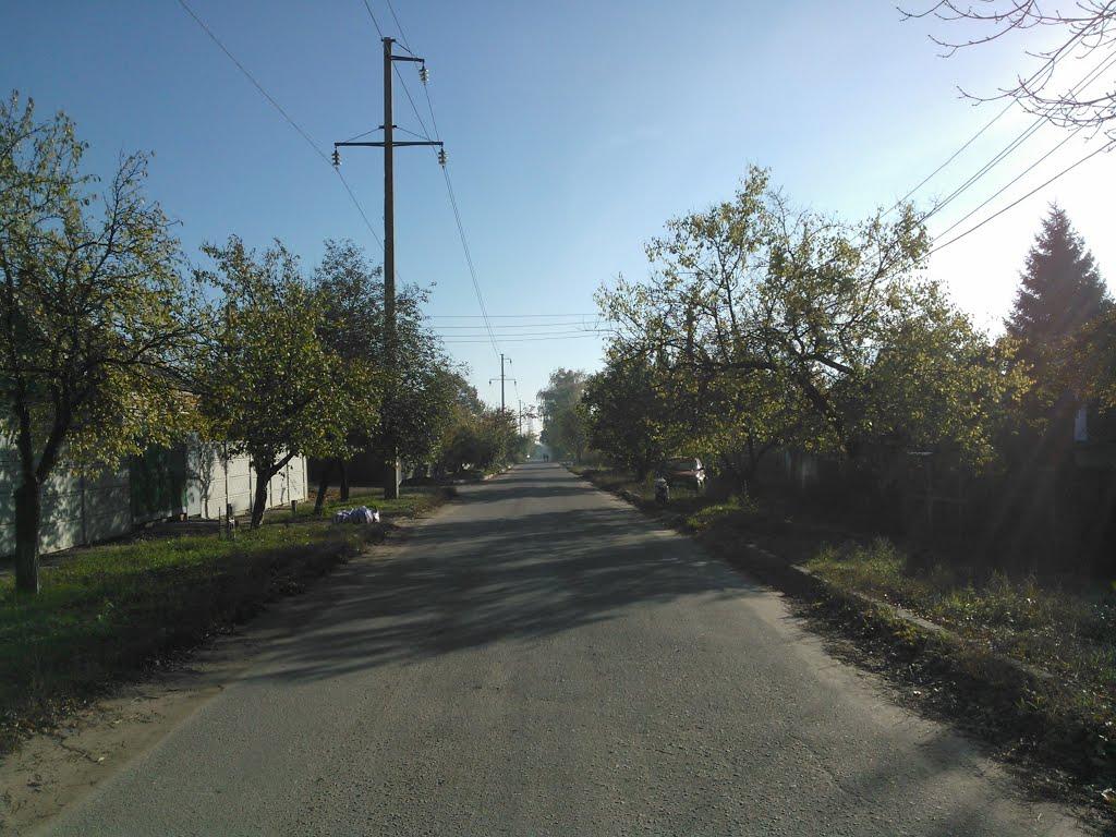 Покотилівка з panoramio.com - Покотиловка