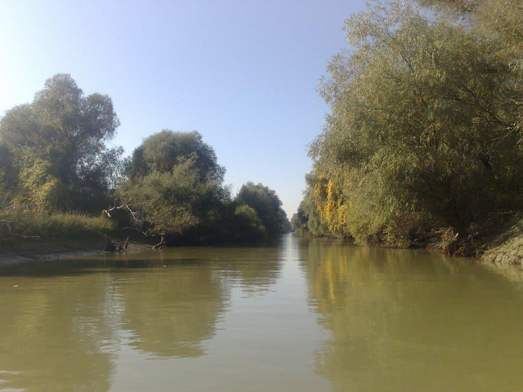 Дунайське з panoramio.com (ч.2) - Дунайское