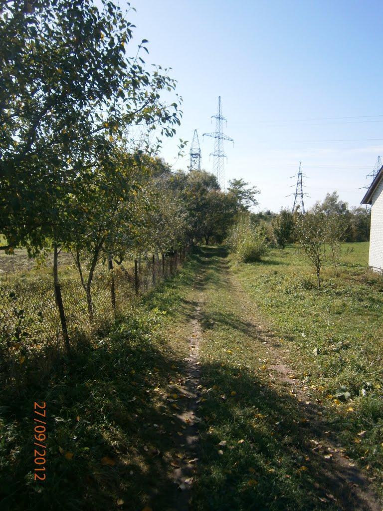 Берездівці з panoramio.com - Берездівці