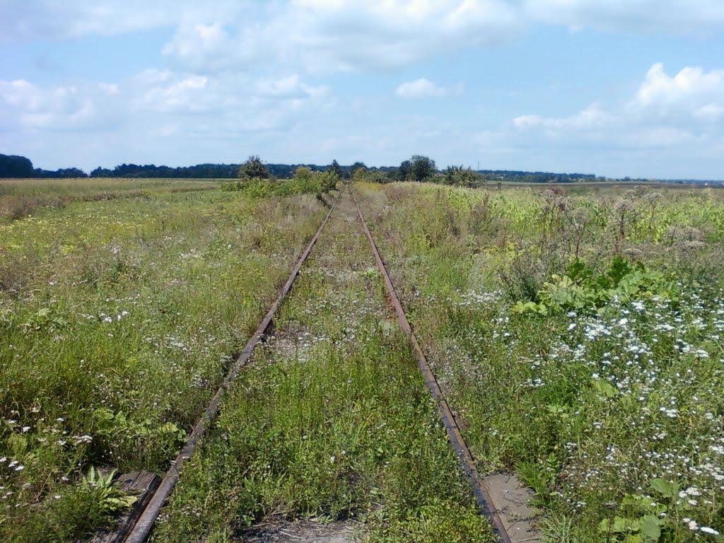Сальник з panoramio.com - Сальник
