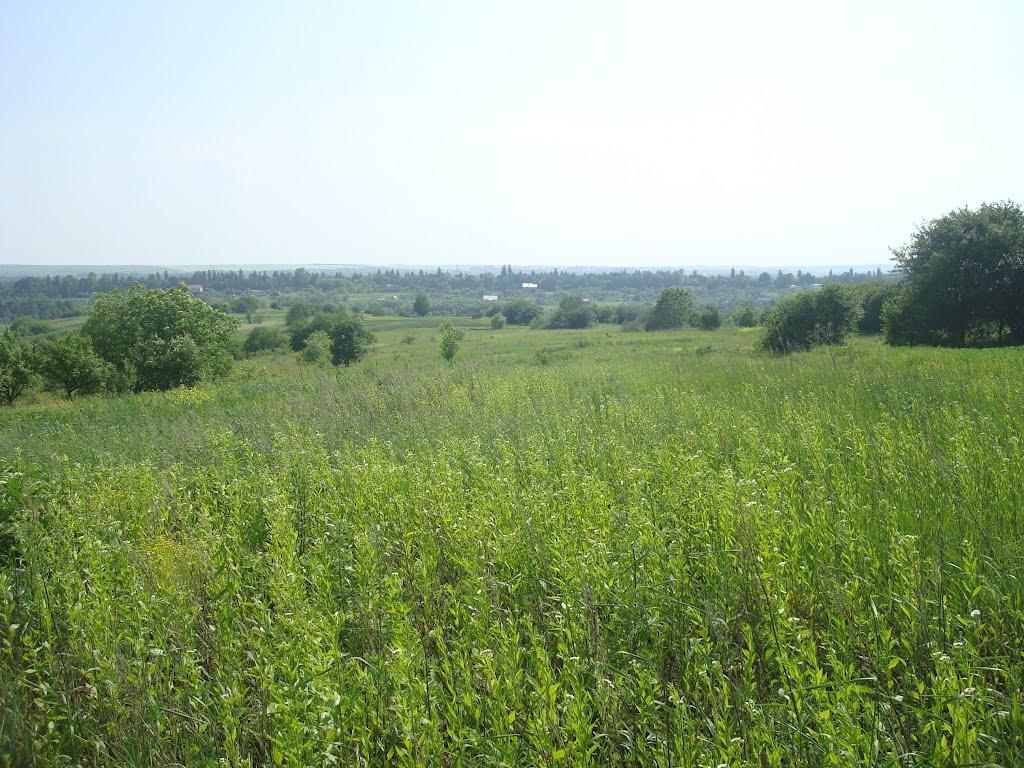 Давидківці з panoramio.com - Давидківці
