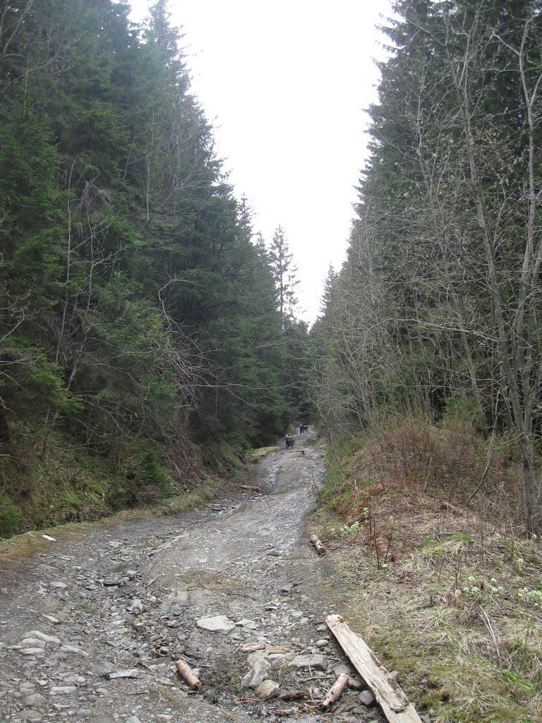 Андреківське з panoramio.com - Андрековское