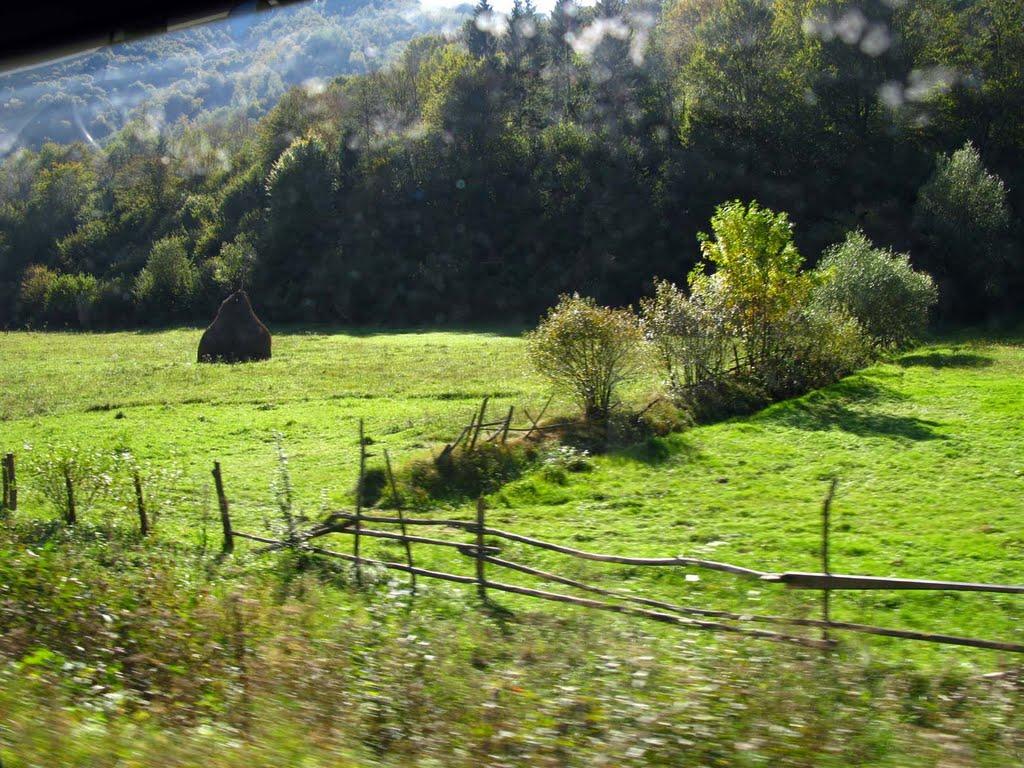 Стройне з panoramio.com - Стройное