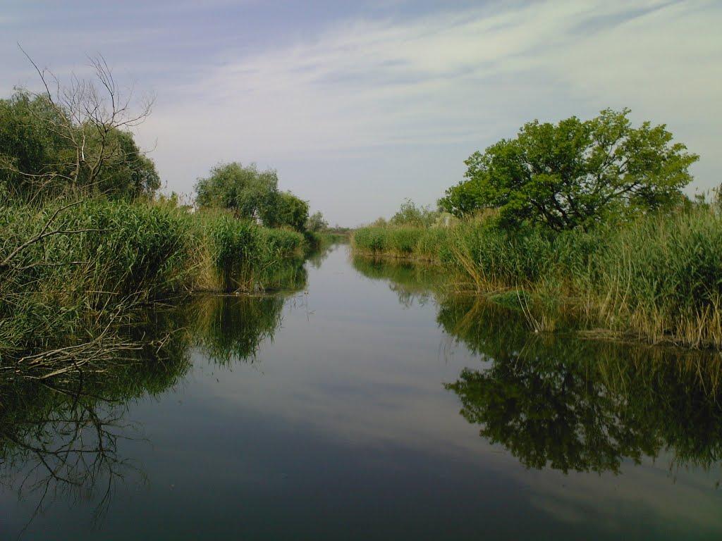 Солонці з panoramio.com - Солонці