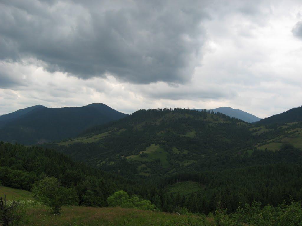 Сойми з panoramio.com - Сойми