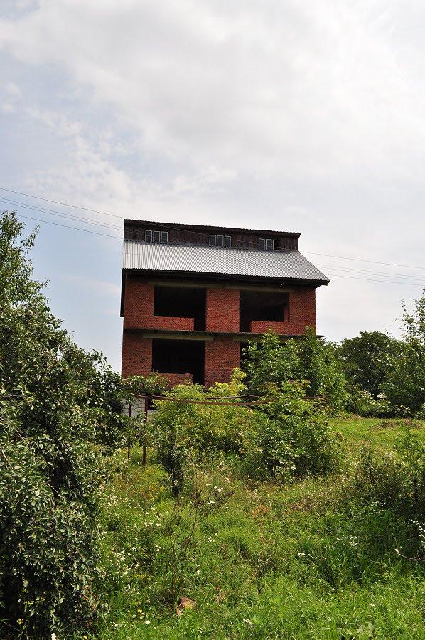 Батфа з panoramio.com - Батфа