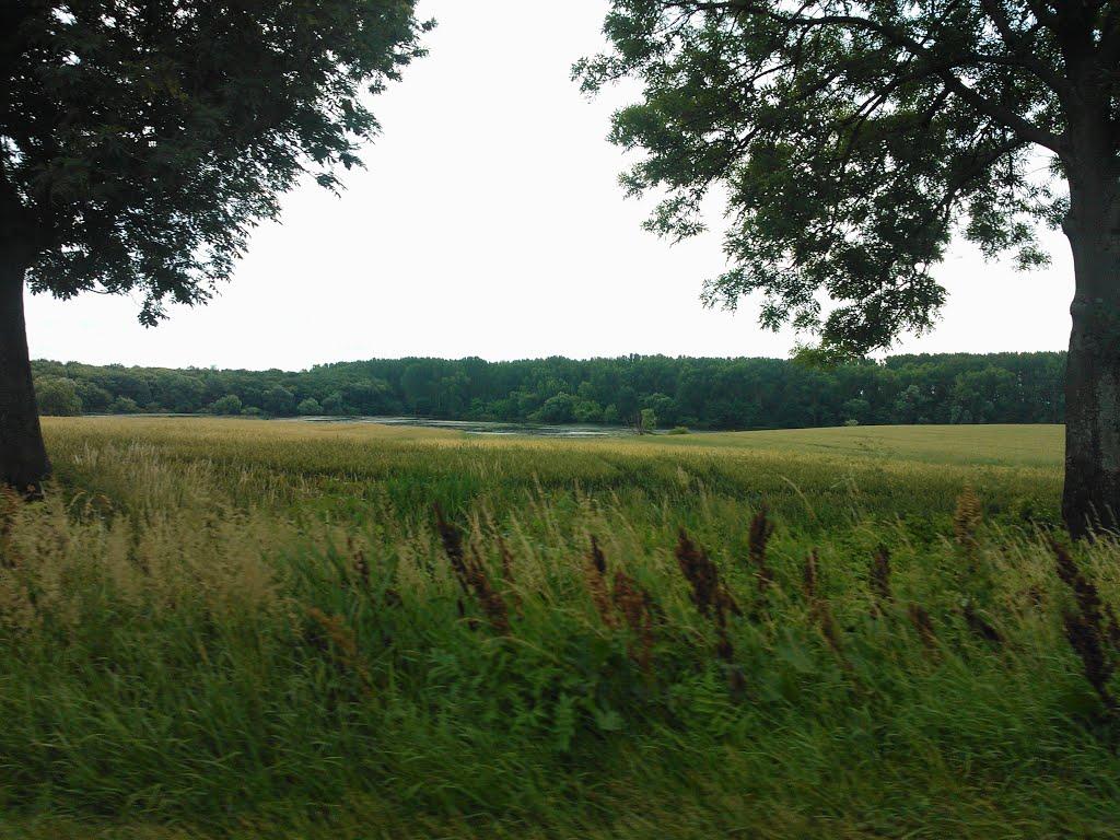 Амбуків з panoramio.com - Амбуків
