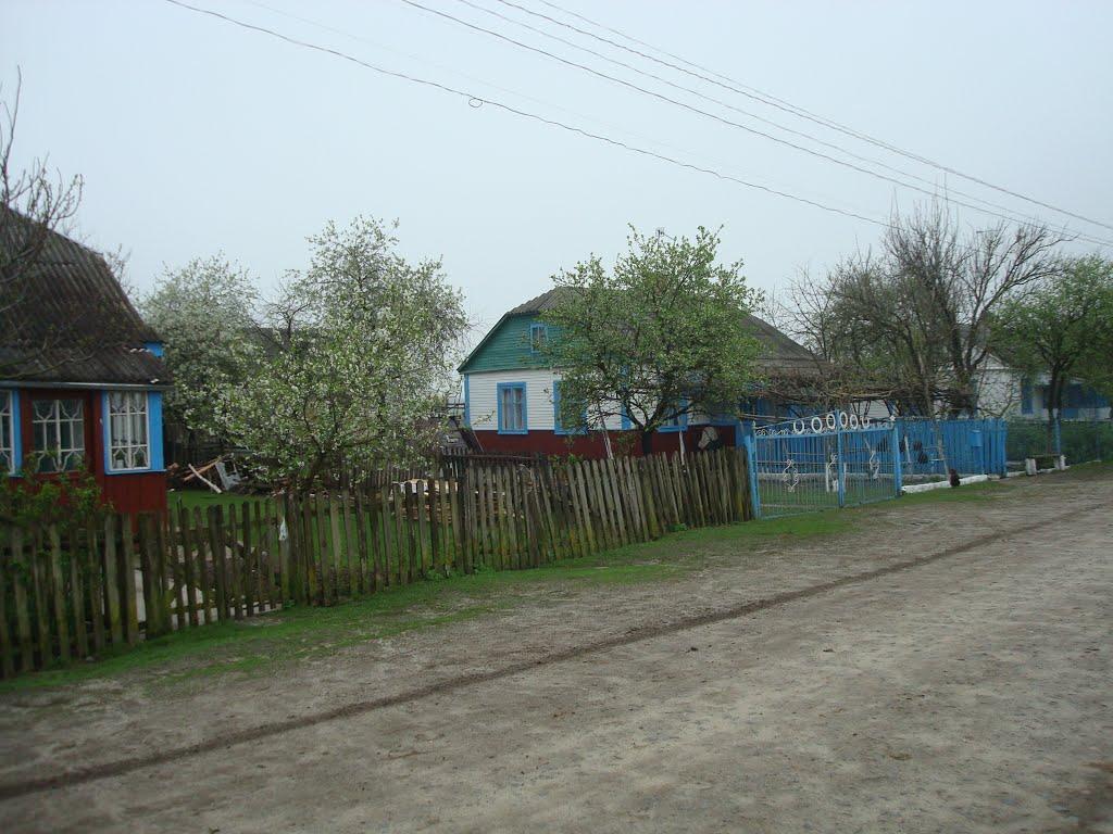 Дроздні з panoramio.com - Дроздни
