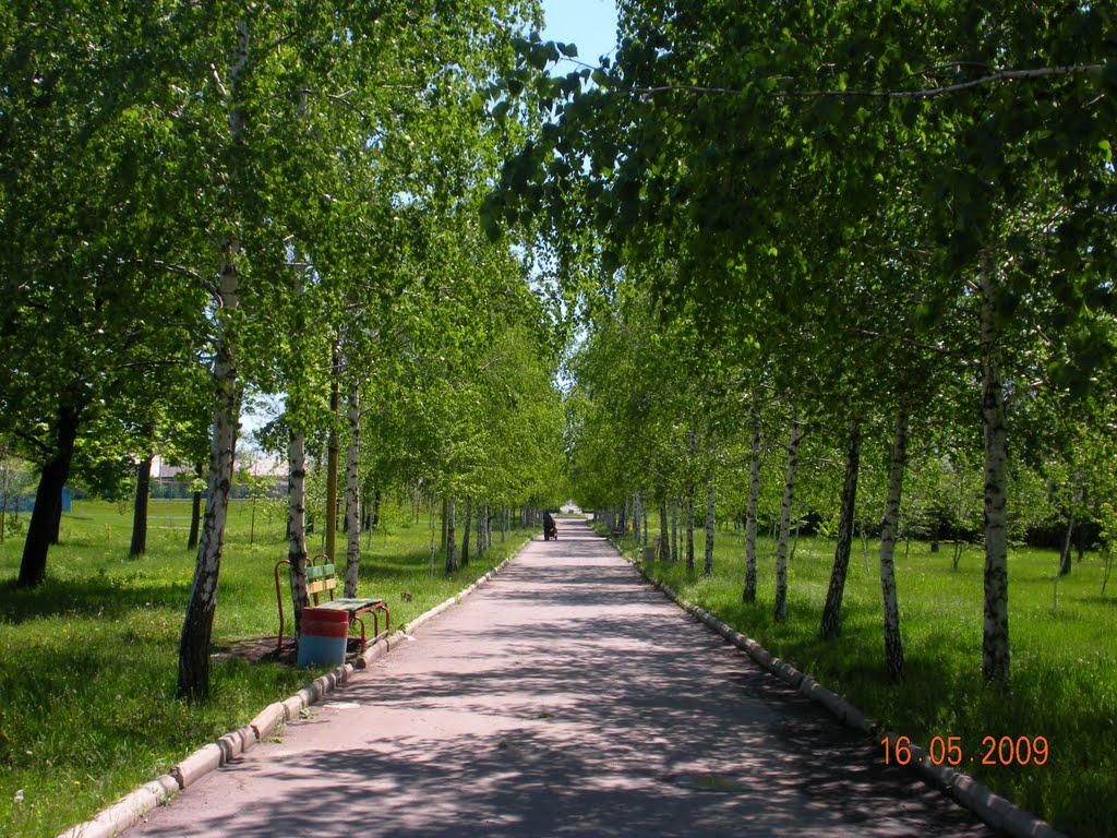 Комсомольське з panoramio.com - Комсомольське
