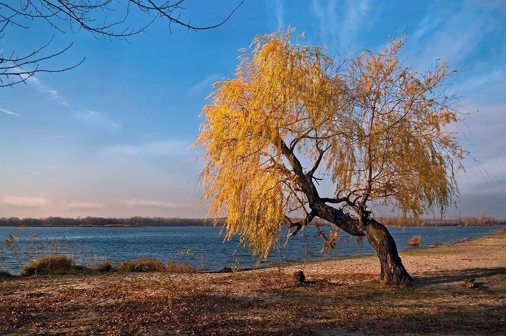 Комсомольськ з panoramio.com - Komsomolsk