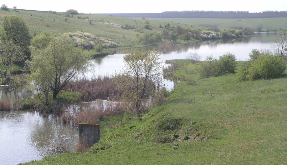 Новоолексіївка з panoramio.com - Новоалексеевка