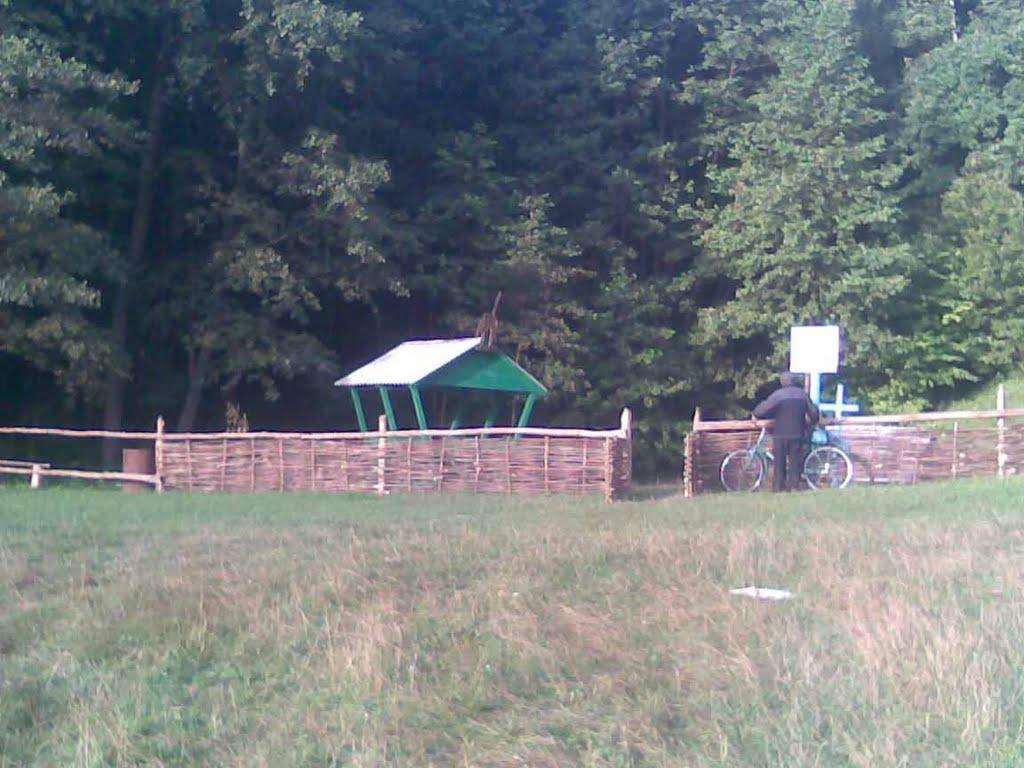 Камінь з panoramio.com - Камінь