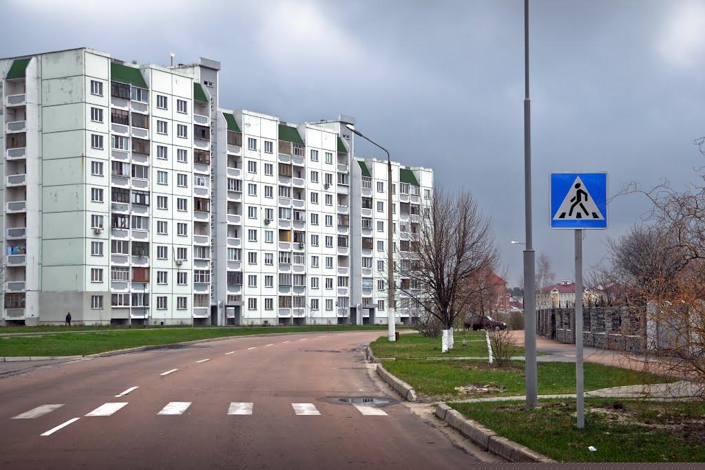 Осокорівка з panoramio.com - Осокорівка