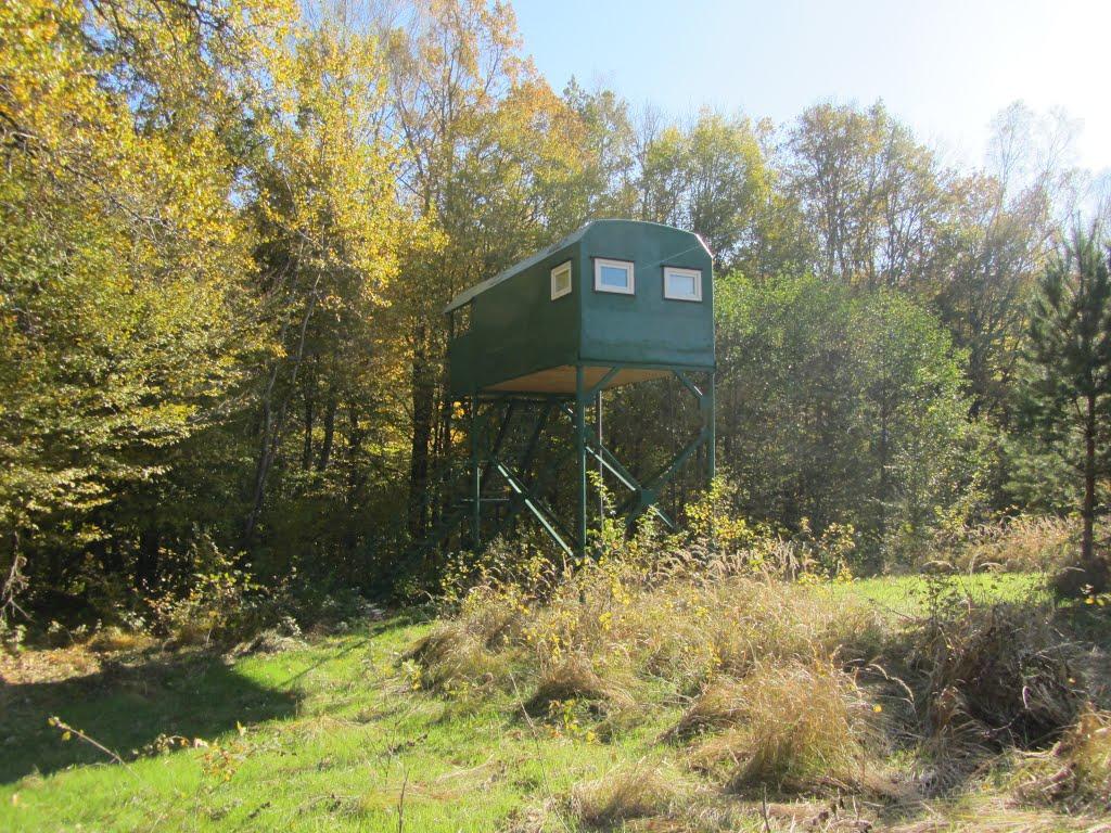 Поляна з panoramio.com - Поляна