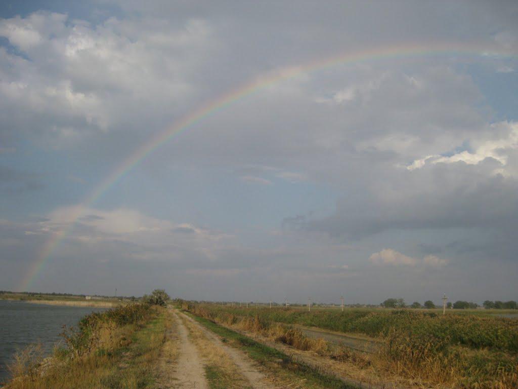 Ставки з panoramio.com - Ставки