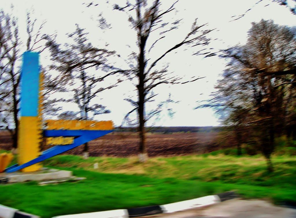 Салиха з panoramio.com - Салиха