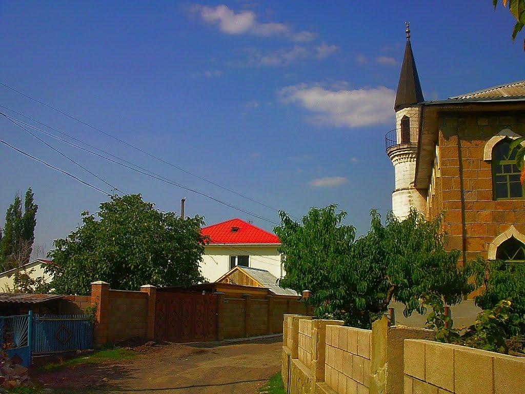 Голубинка з panoramio.com - Golubynka
