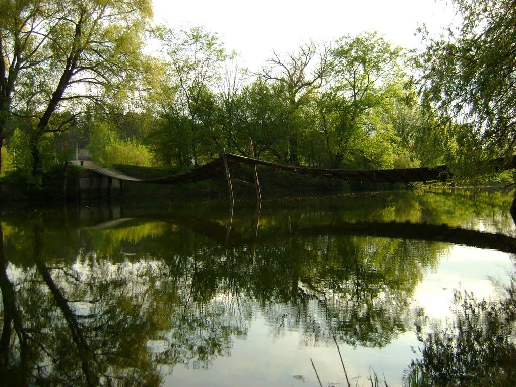 Кононча з panoramio.com - Кононча