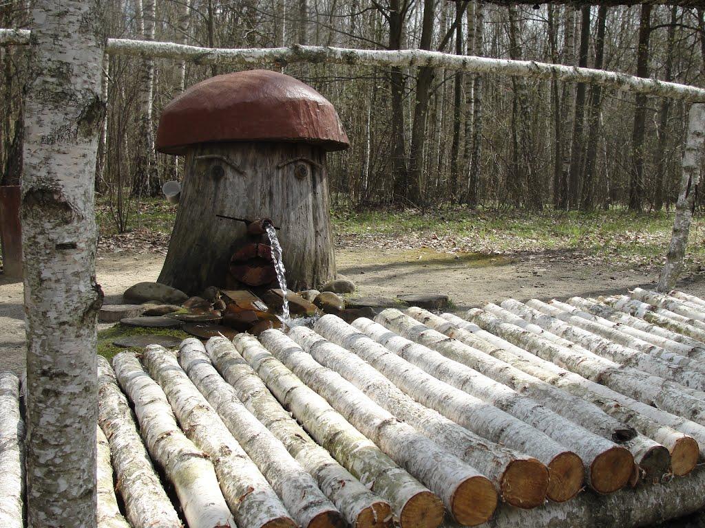 Сильне з panoramio.com - Сильне