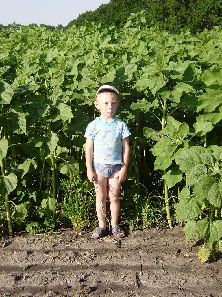 Костянтинівка з panoramio.com - Костянтинівка