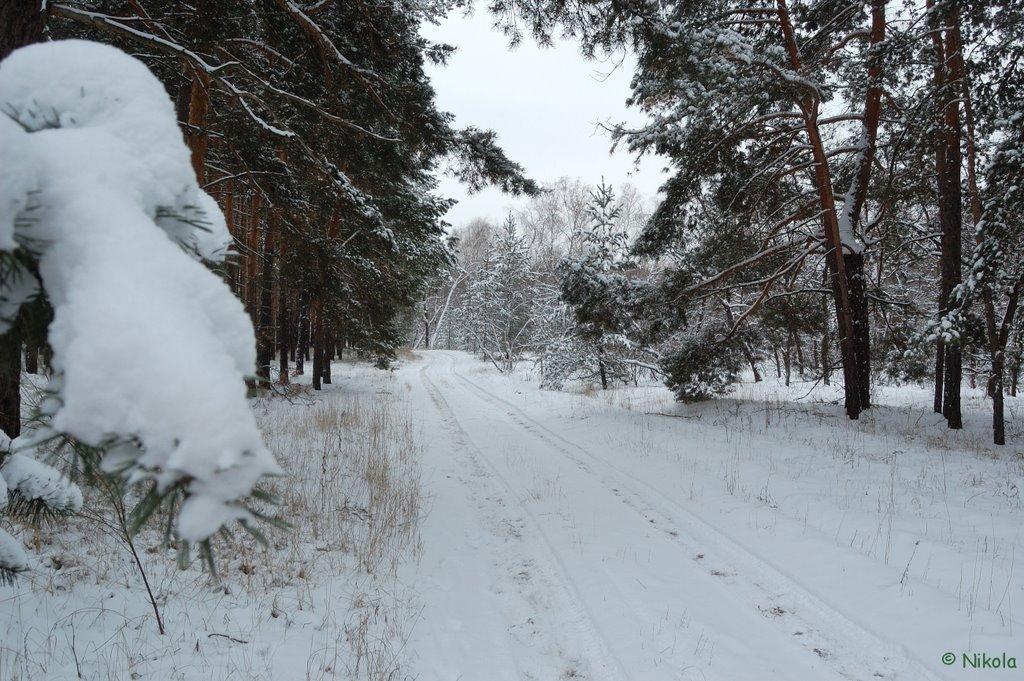 Осколонівка з panoramio.com - Осколонівка