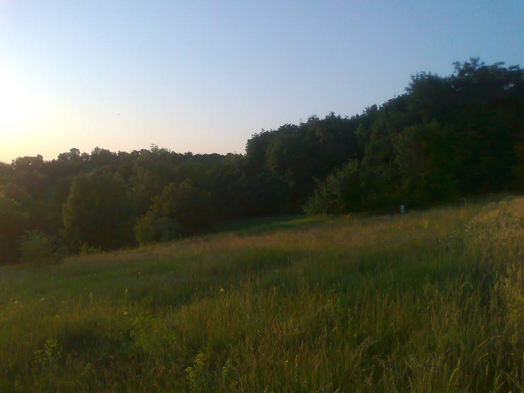 Товсті Роги з panoramio.com - Товсті Роги