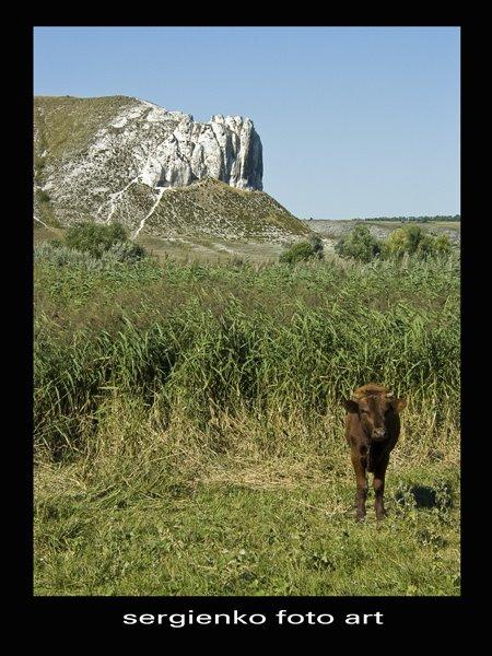 Білокузьминівка з panoramio.com - Білокузьминівка
