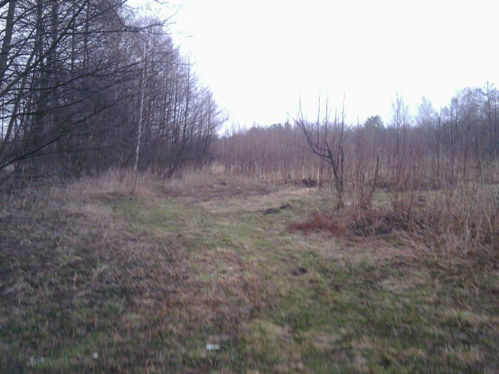 Шостка з panoramio.com - Шостка