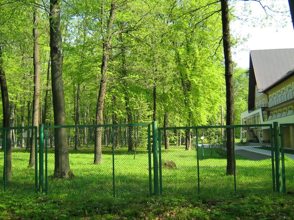 Брюховичі з panoramio.com - Брюховичи