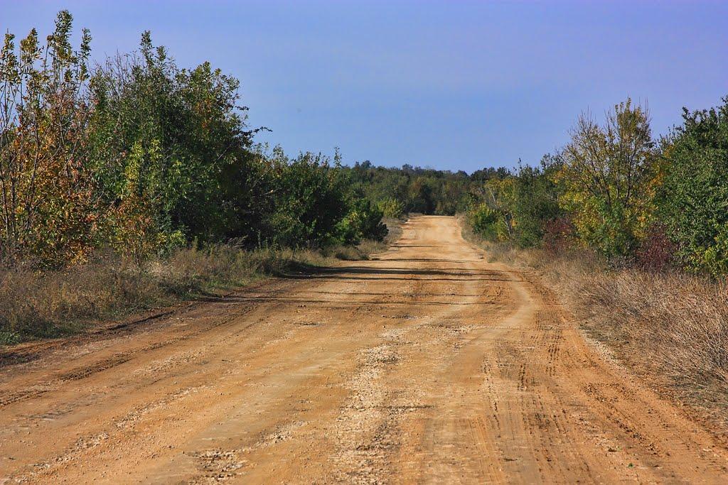 Березівка з panoramio.com - Berezivka