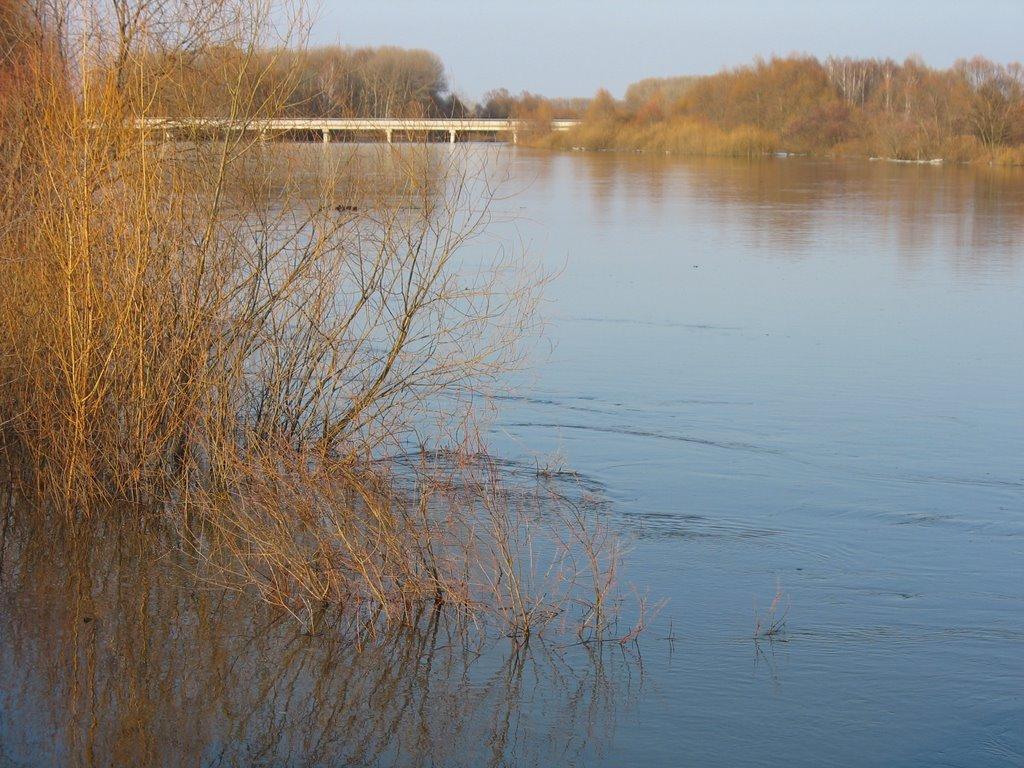 Озаричі з panoramio.com - Озаричи