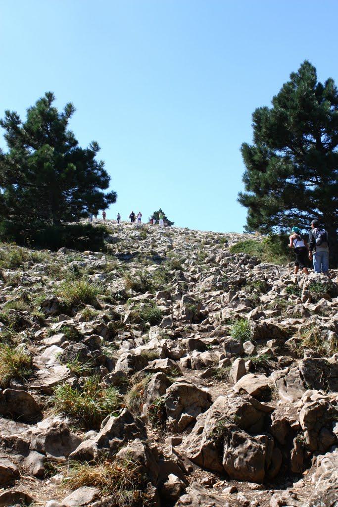 Гончарне з panoramio.com - Гончарне