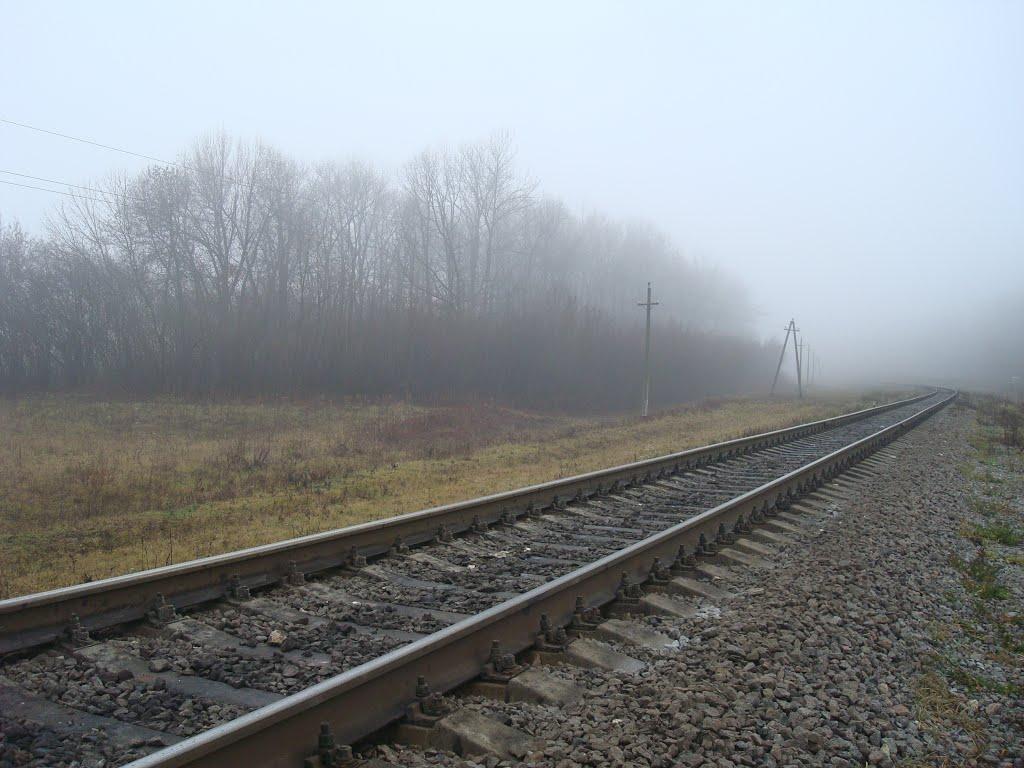 Томашівка з panoramio.com - Томашівка