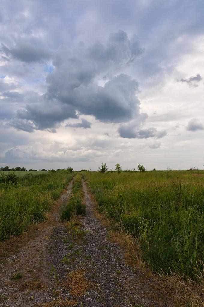 Немичинці з panoramio.com - Немичинцы