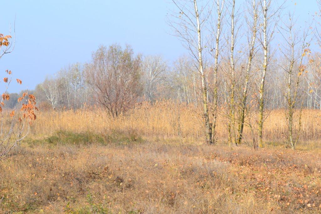 Єньки з panoramio.com - Єньки