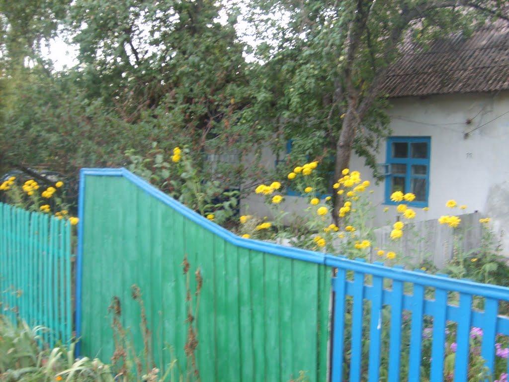 Лісна Поляна з panoramio.com - Лесная Поляна