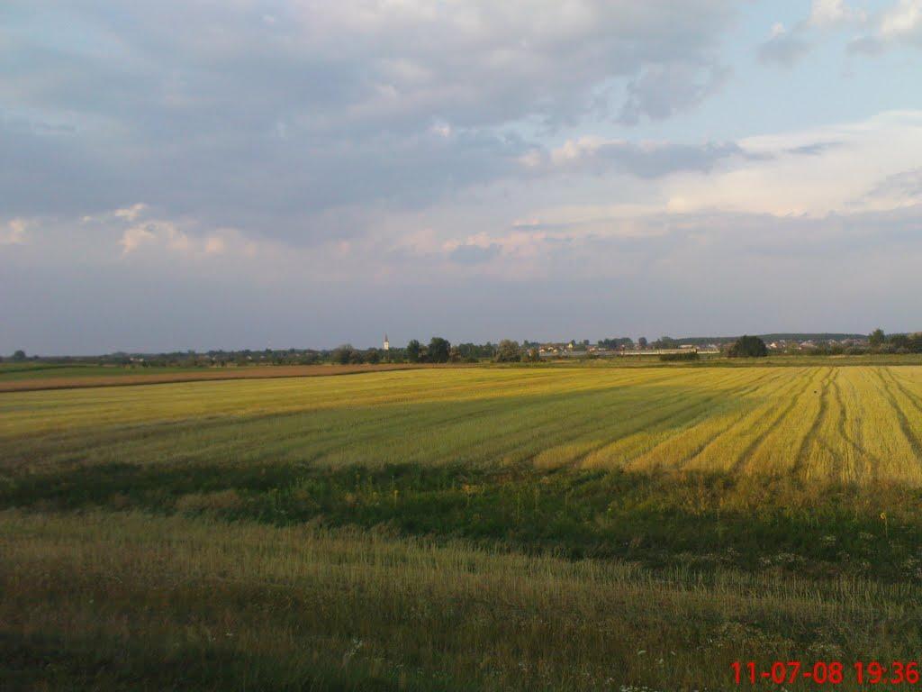 Соломоново з panoramio.com (ч.2) - Соломоново