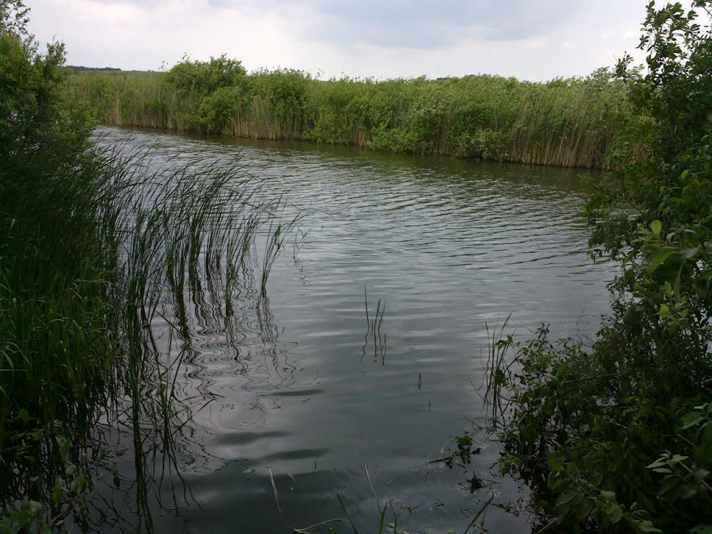 Засупоївка з panoramio.com - Засупоевка