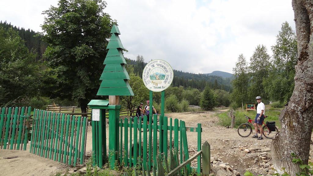 Чорна Тиса з panoramio.com - Чорна Тиса