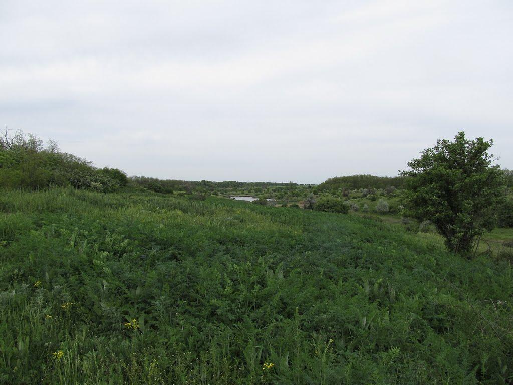 Чигринівка з panoramio.com - Чигринівка